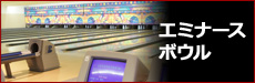 エミナースボウル