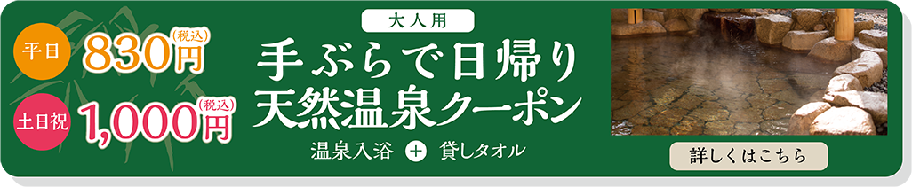 手ぶらで日帰り天然温泉クーポン